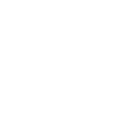 video-top-icon
