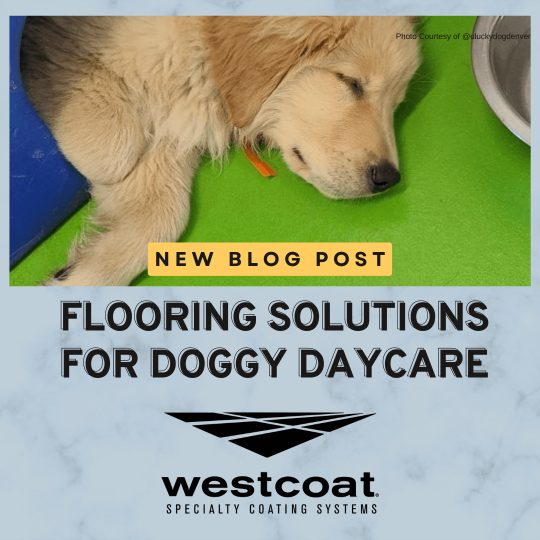 kennel-flooring-solution